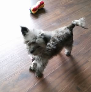 Meet your Posher, Christine